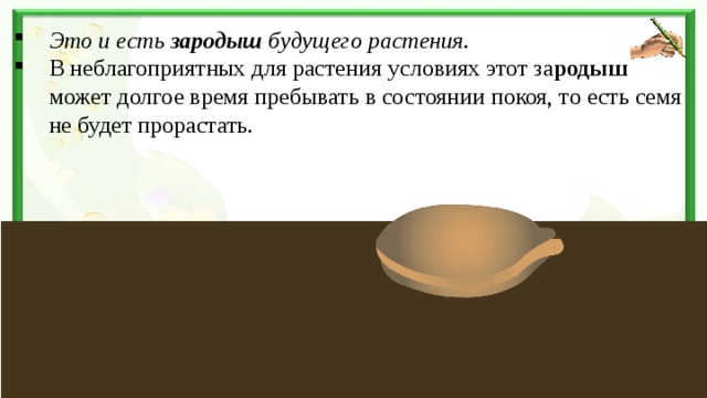 Это и есть зародыш будущего растения . В неблагоприятных для растения условиях этот за родыш может долгое время пребывать в состоянии покоя, то есть семя не будет прорастать.  