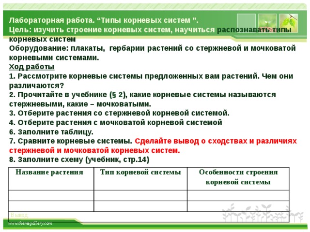 Лабораторная строение корневых систем 6 класс