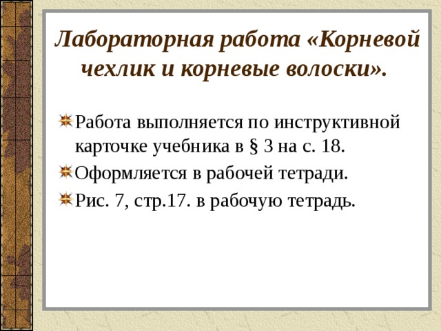 Работа корень. Корневой чехлик и корневые волоски лабораторная работа. Лабораторная работа по биологии 6 корневой чехлик и корневые. Лабораторная работа корневой чехлик и корневые волоски 6. Лабораторная работа по биологии корневой чехлик.