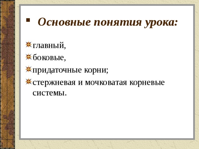 Основные понятия урока: главный, боковые, придаточные корни; стержневая и мочковатая корневые системы. 