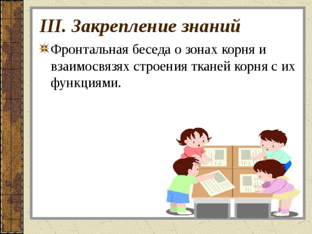 III. Закрепление знаний Фронтальная беседа о зонах корня и взаимосвязях строения тканей корня с их функциями.   