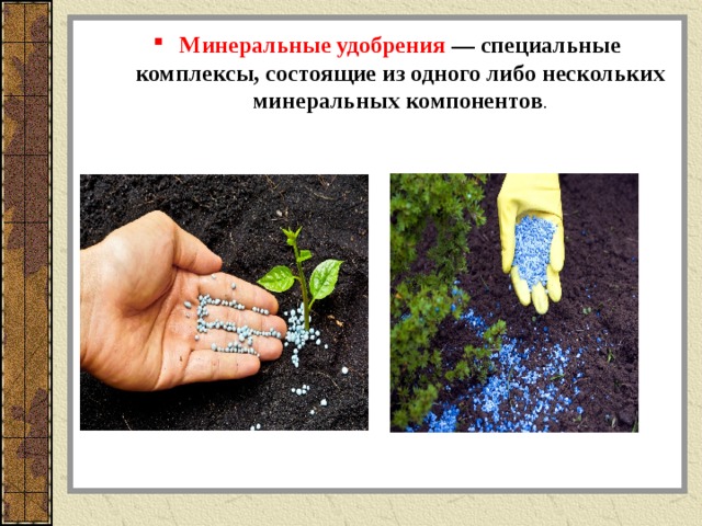 Минеральные удобрения — специальные комплексы, состоящие из одного либо нескольких минеральных компонентов . 
