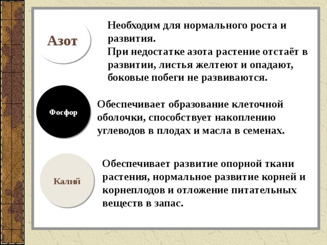 Азот Необходим для нормального роста и развития. При недостатке азота растение отстаёт в развитии, листья желтеют и опадают, боковые побеги не развиваются. Фосфор Обеспечивает образование клеточной оболочки, способствует накоплению углеводов в плодах и масла в семенах. Калий Обеспечивает развитие опорной ткани растения, нормальное развитие корней и корнеплодов и отложение питательных веществ в запас. 