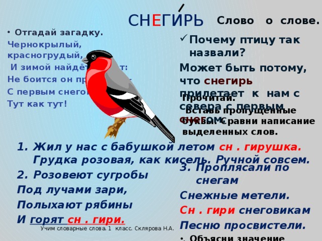 Снегири текст. Снегирь проверочное слово. Снегирь словарное слово. Снегирь проверочное. Написание слова Снегирь.