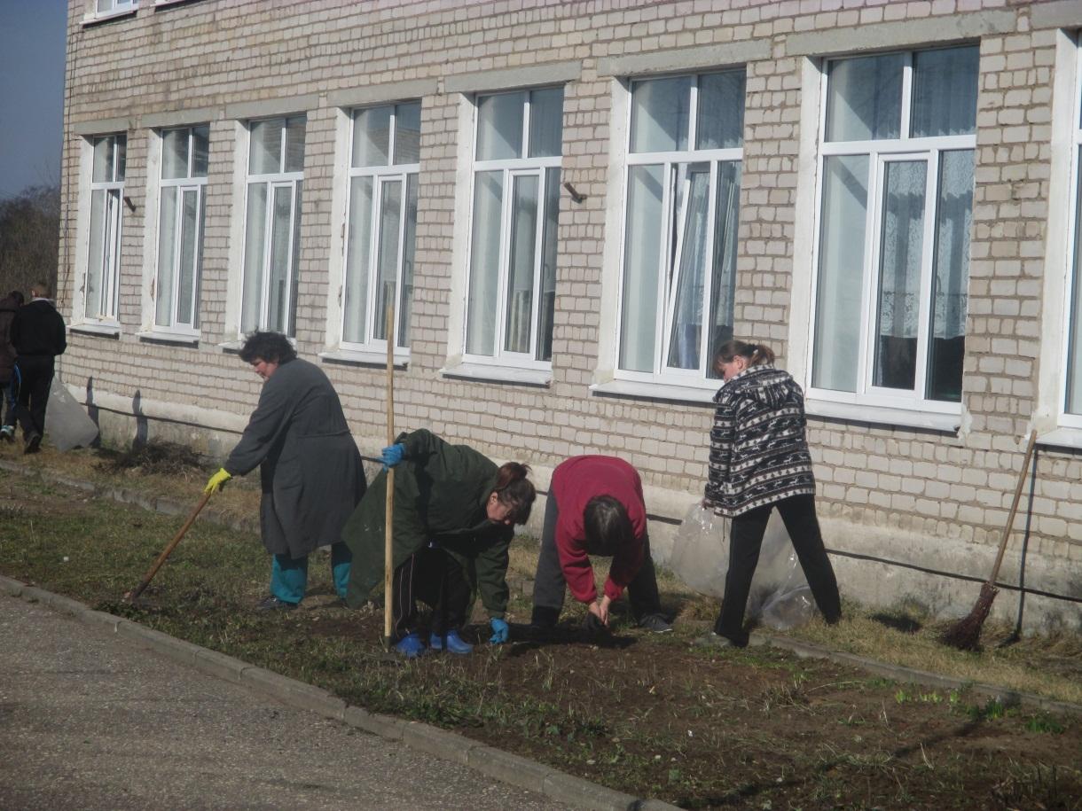 Школьный проект наш школьный двор