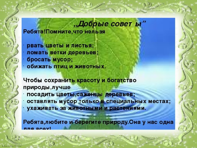 Проект береги природу 6 класс русский язык. Проект берегите природу. Проект по берегите природу и нашу землю 6 класс. Проект берегите природу 6 класс по русскому языку.