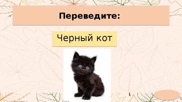 Переведите: Черный кот 