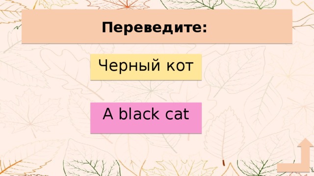 Переведите: Черный кот A black cat 
