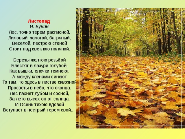 Стихотворение бунина осень. Бунин лес точно Терем расписной. Лиловый золотой багряный Бунин. Бунин ...лес....лиловый золотой.