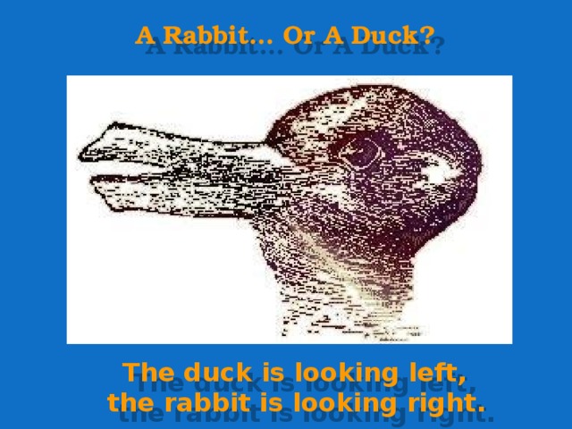 A Rabbit… Or A Duck?  The duck is looking left,  the rabbit is looking right. 