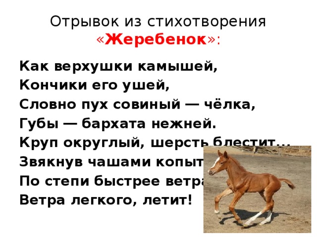 План рассказа жеребенок