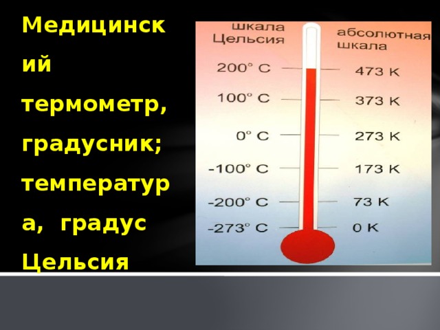 Медицинский термометр, градусник; температура, градус Цельсия 