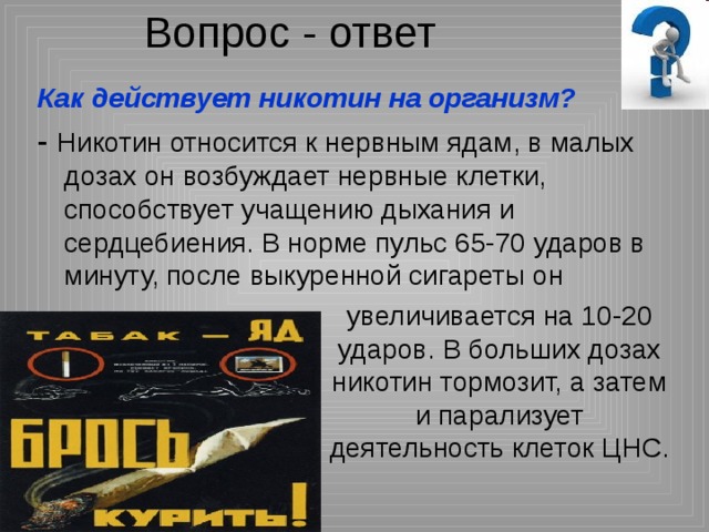 Вопрос - ответ увеличивается на 10-20 ударов. В больших дозах никотин тормозит, а затем и парализует деятельность клеток ЦНС. Как действует никотин на организм? Никотин относится к нервным ядам, в малых дозах он возбуждает нервные клетки, способствует учащению дыхания и сердцебиения. В норме пульс 65-70 ударов в минуту, после выкуренной сигареты он 