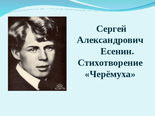 Презентация с есенин сыплет черемуха снегом 3 класс