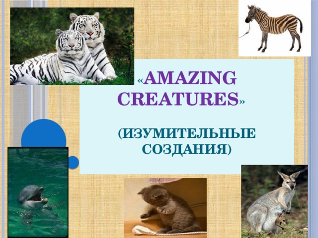 Amazing creatures 5