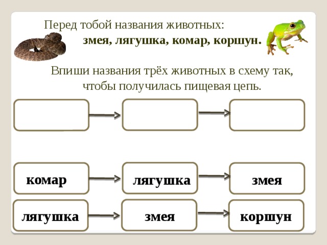 Составьте схему цепи питания характерной для болот ястреб бабочка лягушка стрекоза уж растение муха