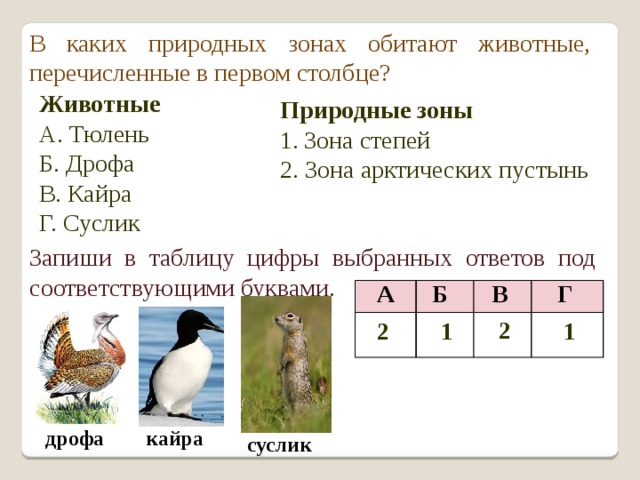 В каких зонах обитают животные. В каких зонах обитают животные перечисленные в первом столбце. В какой природной зоне обитает тюлень. Какие животные обитают в природных зонах. В какой природной зоне обитает суслик.