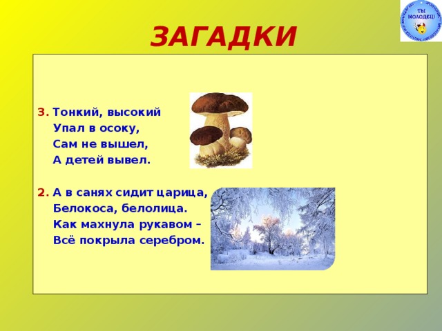 Высок тонок. Загадка про осоку. Загадки про осоку для детей. Тонкий высокий упал в осоку сам не вышел а детей вывел. Тонкий высокий упал в осоку.