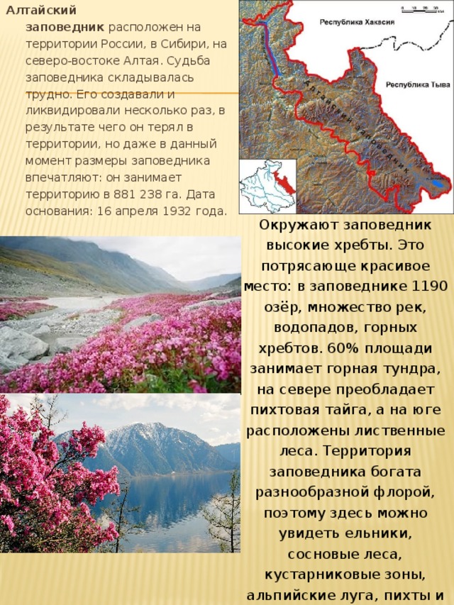 В какой природной зоне расположен алтайский край. Алтайский заповедник расположен.