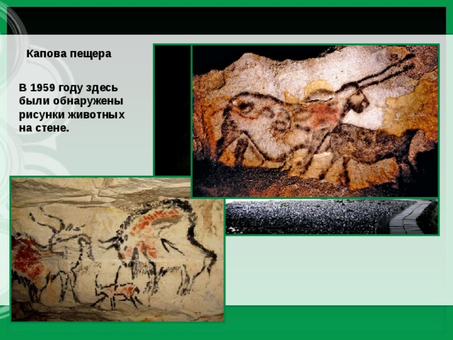Капова пещера В 1959 году здесь были обнаружены рисунки животных на стене. 