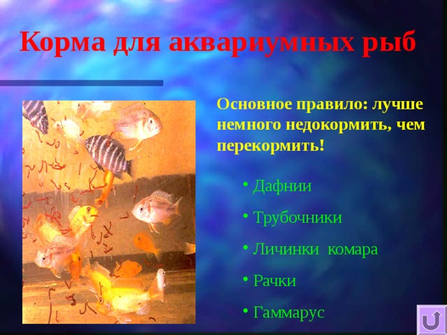 Корма для аквариумных рыб Основное правило : лучше немного недокормить, чем перекормить !