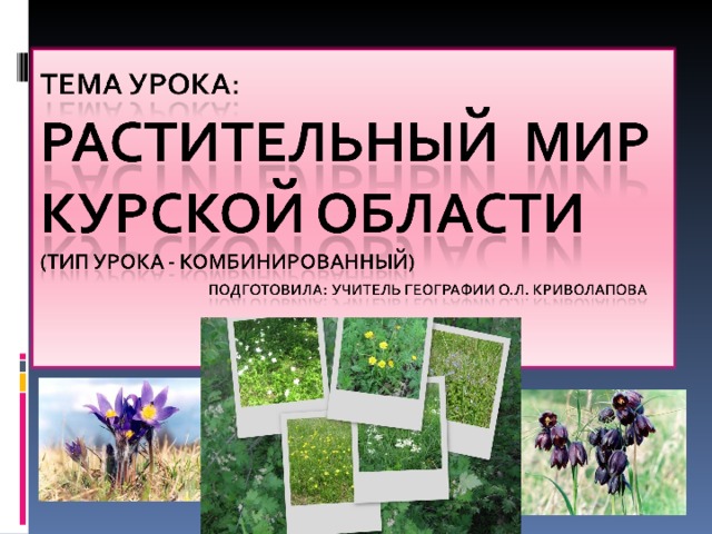 Проект разнообразие природы курской области