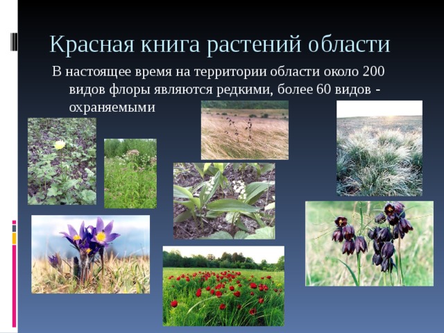 Красная книга растений области В настоящее время на территории области около 200 видов флоры являются редкими, более 60 видов - охраняемыми 