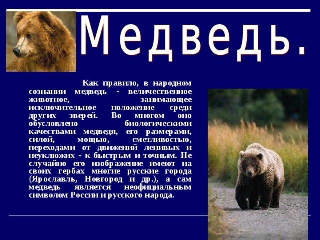  Как правило, в народном сознании медведь - величественное животное, занимающее исключительное положение среди других зверей. Во многом оно обусловлено биологическими качествами медведя, его размерами, силой, мощью, сметливостью, переходами от движений ленивых и неуклюжих - к быстрым и точным. Не случайно его изображение имеют на своих гербах многие русские города (Ярославль, Новгород и др.), а сам медведь является неофициальным символом России и русского народа. 