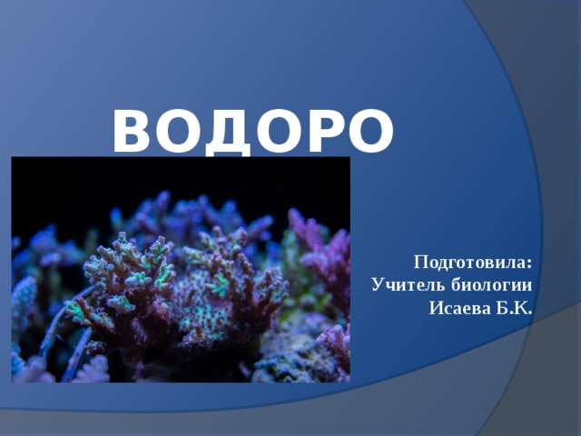 ВОДОРОСЛИ Подготовила: Учитель биологии Исаева Б.К. 