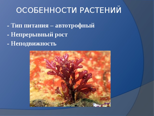 ОСОБЕННОСТИ РАСТЕНИЙ - Тип питания – автотрофный - Непрерывный рост - Неподвижность 