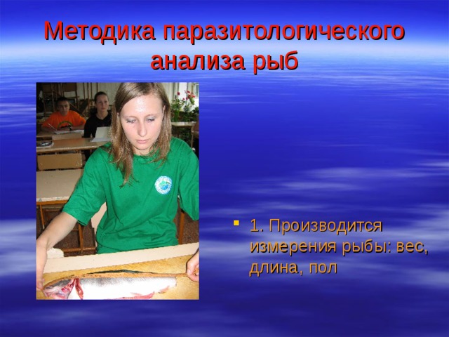 Методика паразитологического анализа рыб 1. Производится измерения рыбы: вес, длина, пол 
