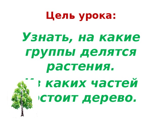 Цель урока: Узнать, на какие группы делятся растения. Из каких частей состоит дерево.