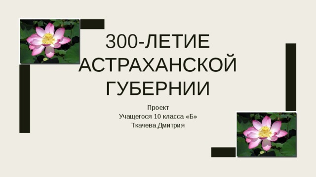 300-летие Астраханской губернии Проект Учащегося 10 класса «Б» Ткачева Дмитрия 