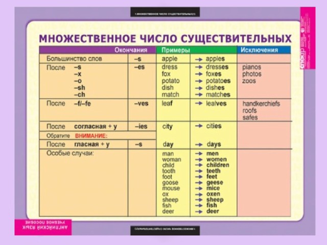 Множественное число в английском по песням Тейлор Свифт