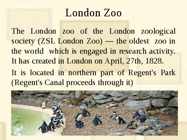 London Zoo The London zoo of the London zoological society (ZSL London Zoo) — the oldest zoo in the world which is engaged in research activity. It has created in London on April, 27th, 1828. It is located in northern part of Regent's Park (Regent's Canal proceeds through it) 