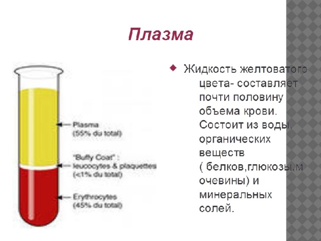 Схема состав крови 7 класс биология