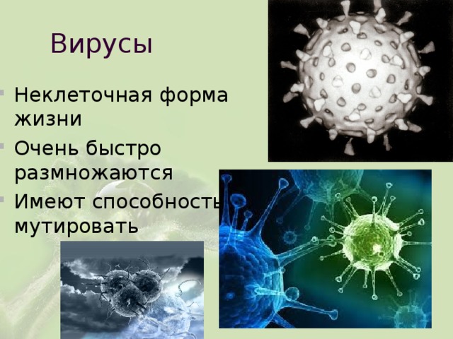 Вирусы Неклеточная форма жизни Очень быстро размножаются Имеют способность мутировать 