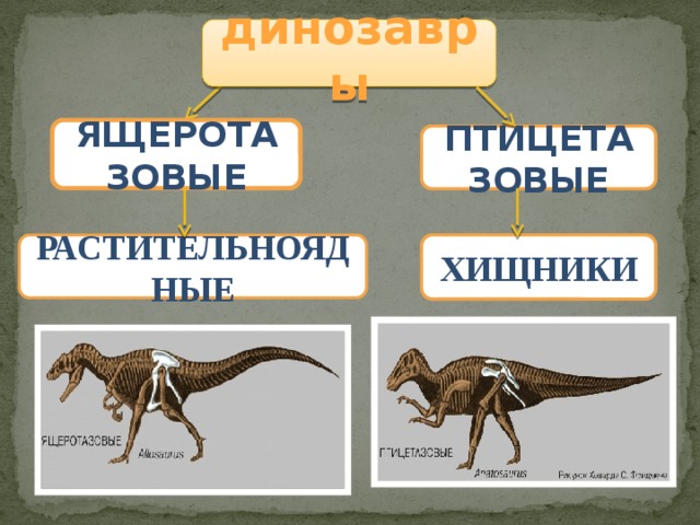 Классификация динозавров схема