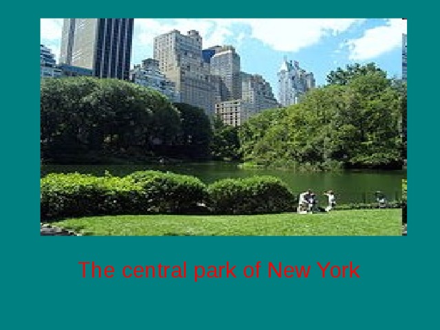 The central park of New York 