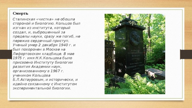 Кольцов наследник рода 3. Памятник Николаю Константиновичу Кольцову.