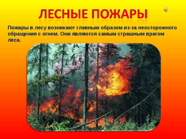 Лесной пожар 3 класс. Лесные пожары доклад. Сообщение о лесных пожарах. Лесные пожары презентация. Пожары в лесах презентация.