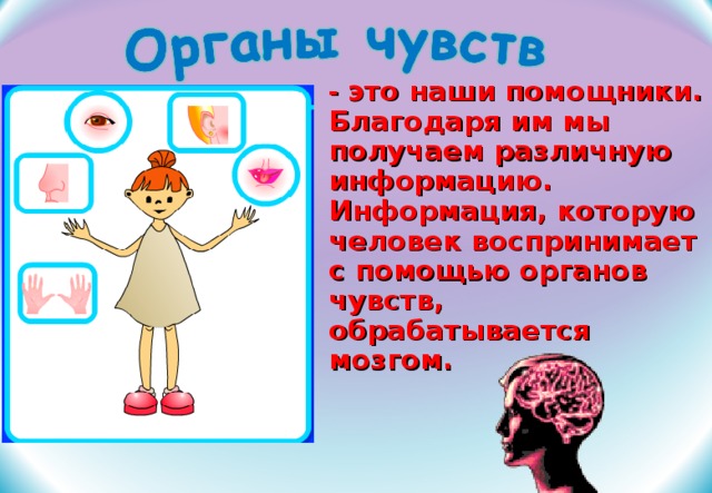 Благодаря ассистенту. Органы чувств Информатика 2 класс. Органы чувств это информации Информатика 2. Человек и информация 2 класс презентация Матвеева. Человек и информация 3 класс презентация Матвеева.