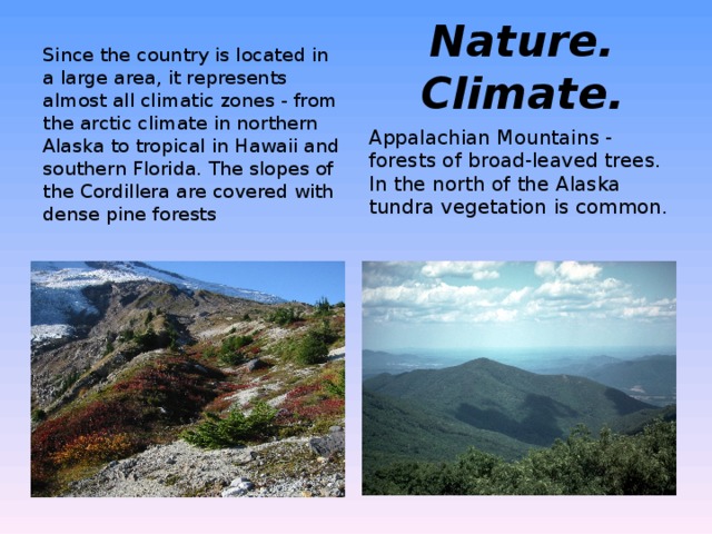 Nature. Climate . Since the country is located in a large area, it represents almost all climatic zones - from the arctic climate in northern Alaska to tropical in Hawaii and southern Florida. The slopes of the Cordillera are covered with dense pine forests Appalachian Mountains - forests of broad-leaved trees. In the north of the Alaska tundra vegetation is common. 