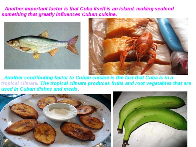_Another important factor is that Cuba itself is an island, making seafood something that greatly influences Cuban cuisine.  _ Another contributing factor to Cuban cuisine is the fact that Cuba is in a tropical climate . The tropical climate produces fruits and root vegetables that are used in Cuban dishes and meals .  
