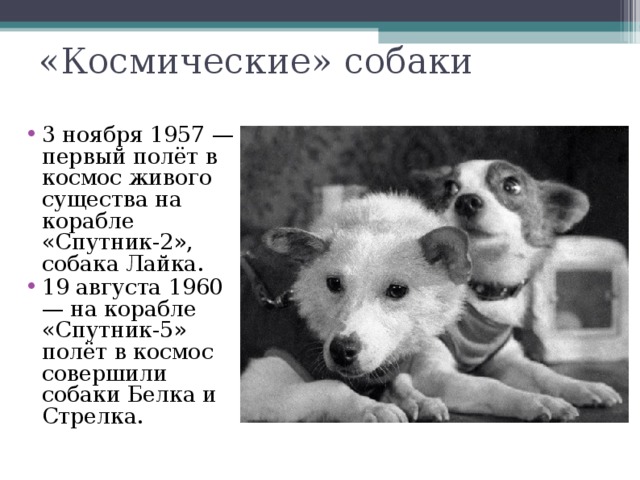 «Космические» собаки 3 ноября 1957 — первый полёт в космос живого существа на корабле «Спутник-2», собака Лайка. 19 августа 1960 — на корабле «Спутник-5» полёт в космос совершили собаки Белка и Стрелка.  