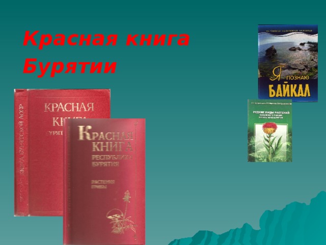 Красная книга бурятии презентация