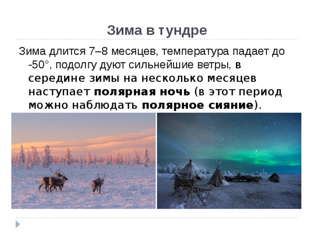 Текст полярной ночью в тундре когда солнце. Тундра зима. Зима в тундре длится. Зима в тундре презентация. Тундра зима и лето.