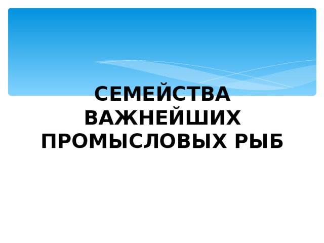 СЕМЕЙСТВА ВАЖНЕЙШИХ ПРОМЫСЛОВЫХ РЫБ     
