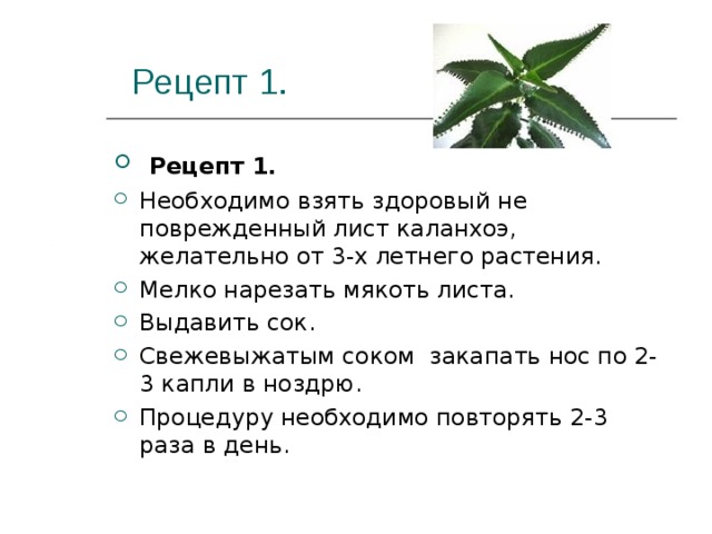 Лечат ли комнатные растения простуду проект