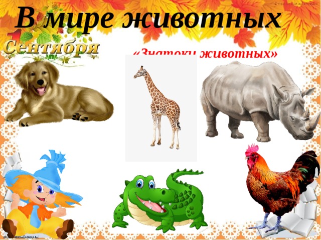 В мире животных «Знатоки животных» 